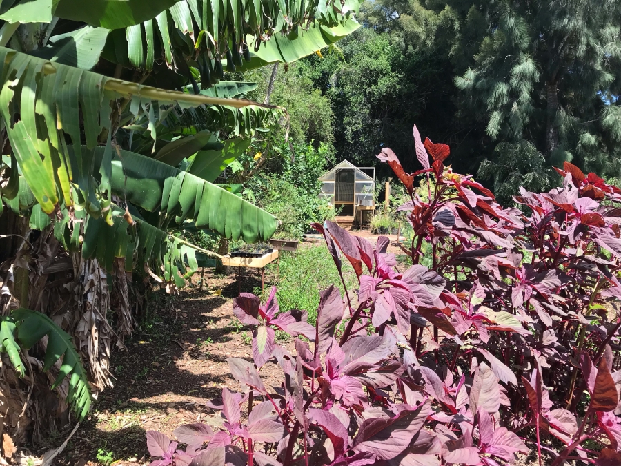 4 Bedroom Property for Sale in Elandsrivier Eastern Cape